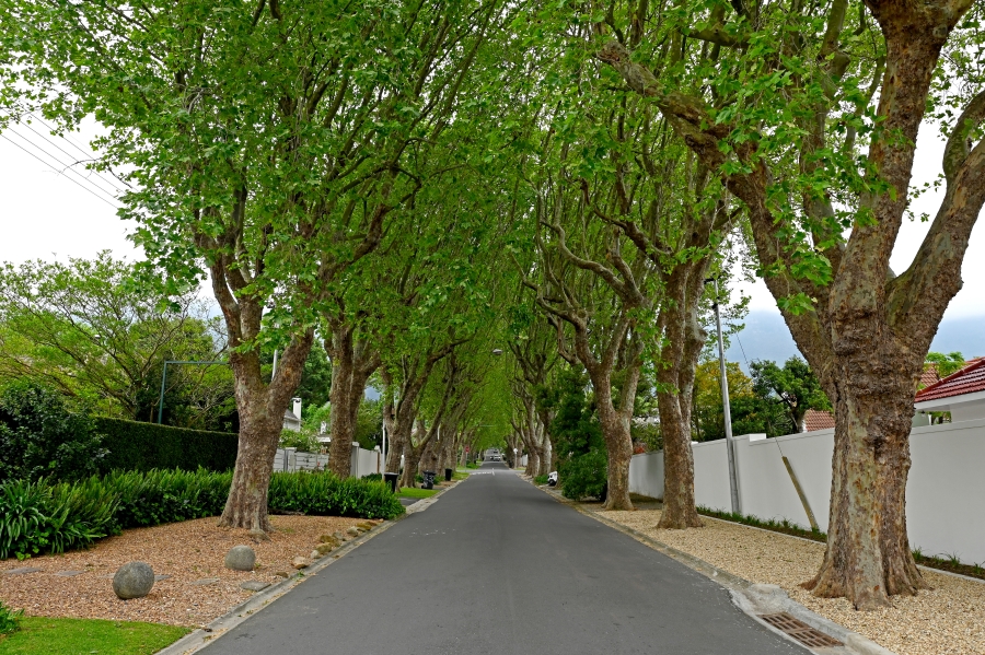 To Let 5 Bedroom Property for Rent in Newlands Western Cape